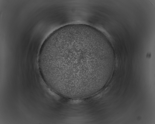 X0000091371278200708311518