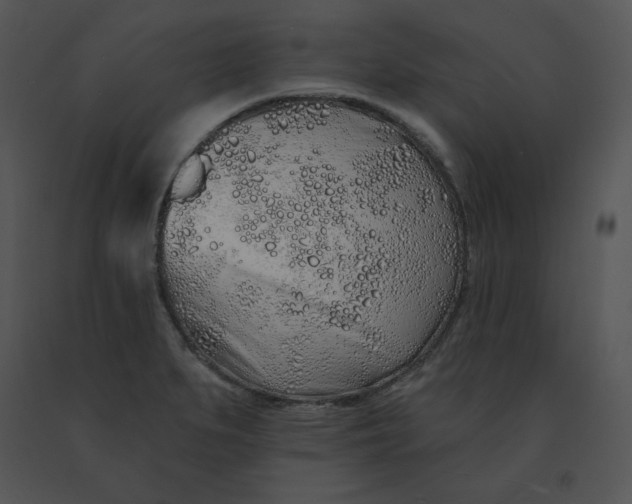 X0000091371279200708311518