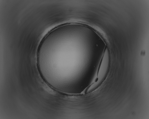 X0000091371280200708311518