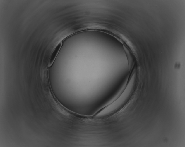 X0000091371281200708311518