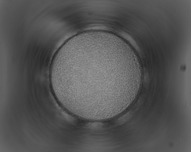 X0000091371282200708311518