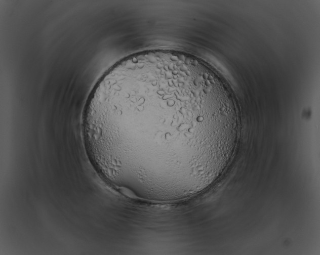 X0000091371283200708311518