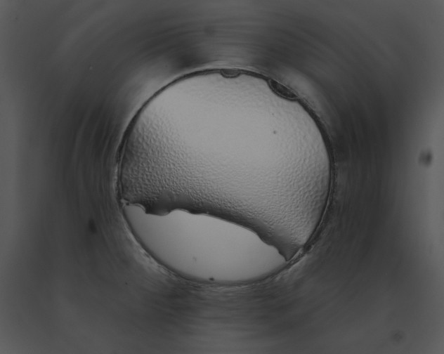 X0000091371284200708311517