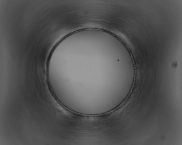 X0000091371286200708311517