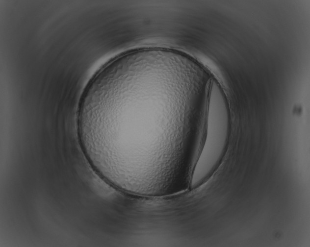 X0000091371288200708311517