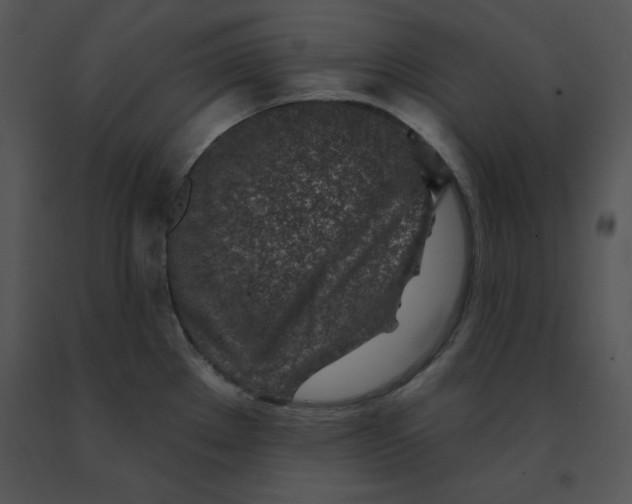 X0000091371289200708311517