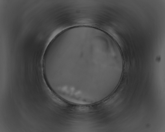 X0000091371291200708311517