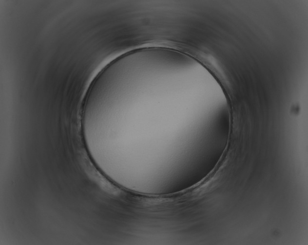 X0000091371292200708311517