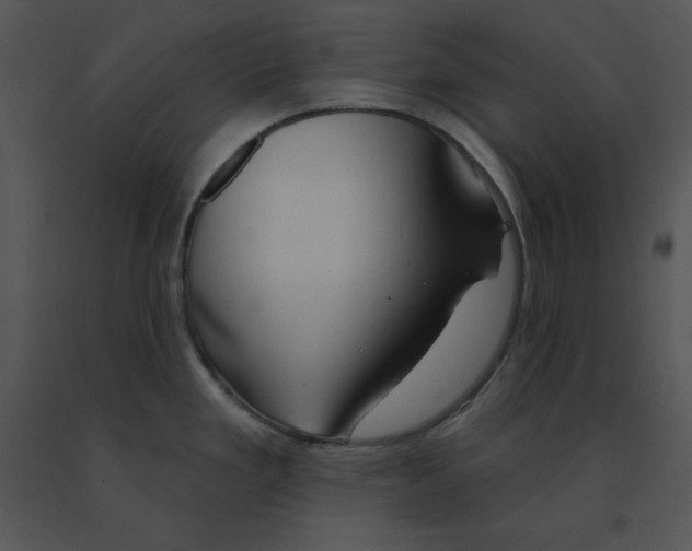 X0000091371293200708311517