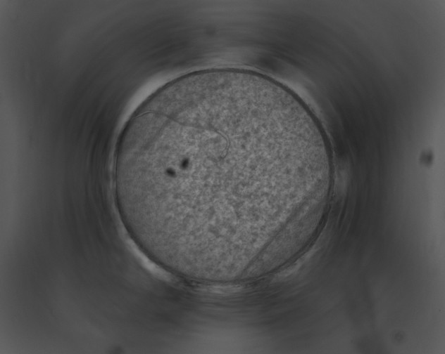 X0000091371294200708311517