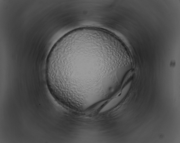 X0000091371295200708311517