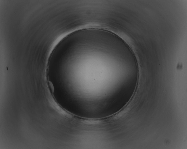 X0000091371296200708311517