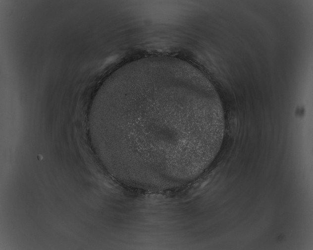 X0000091371297200708311517