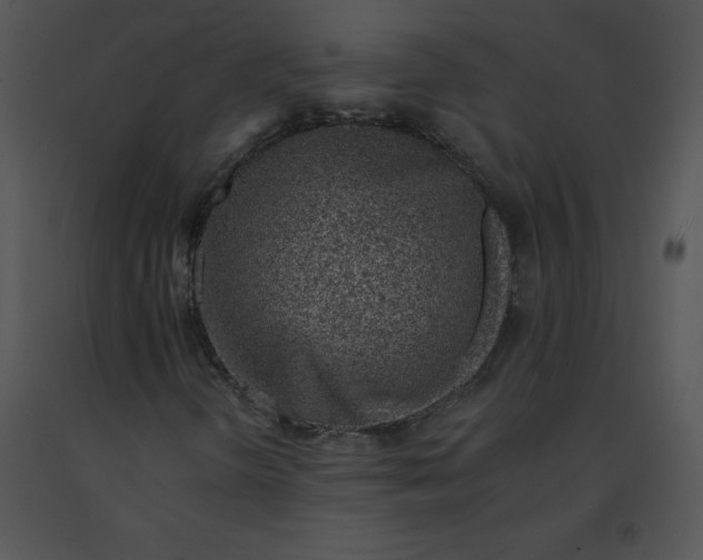 X0000091371298200708311517