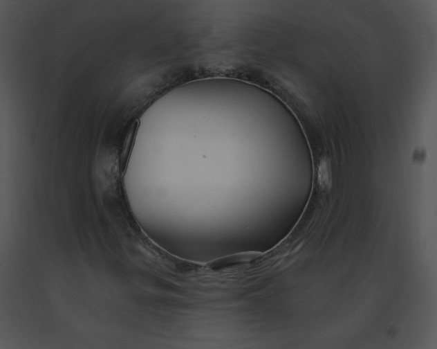 X0000091371299200708311517