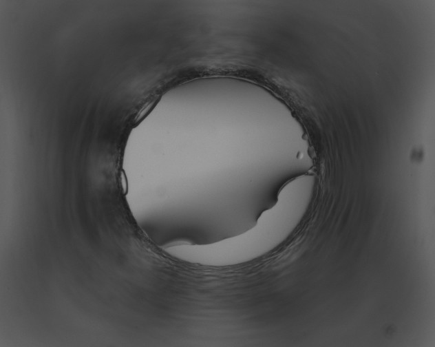 X0000091371300200708311517