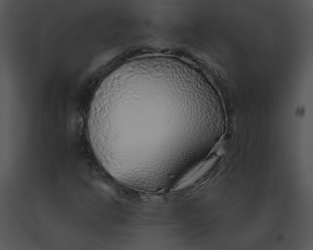 X0000091371302200708311517