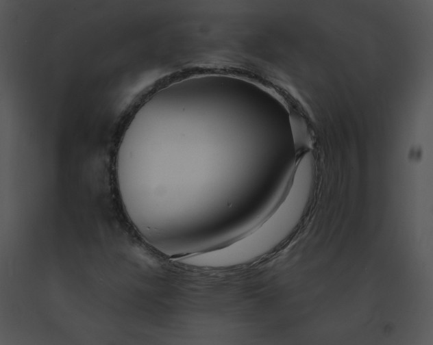 X0000091371304200708311517