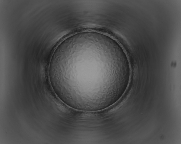 X0000091371305200708311517