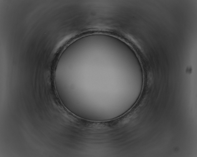 X0000091371307200708311517