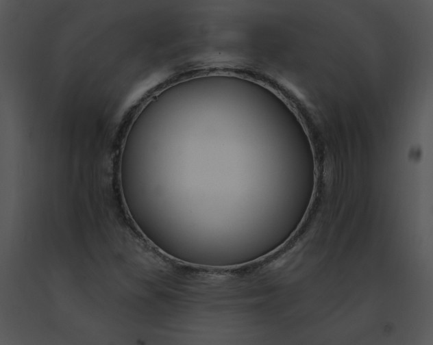 X0000091371309200708311517