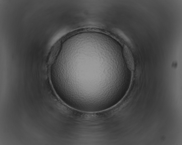 X0000091371310200708311517