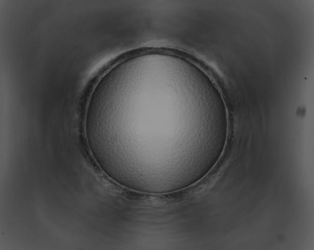 X0000091371311200708311517