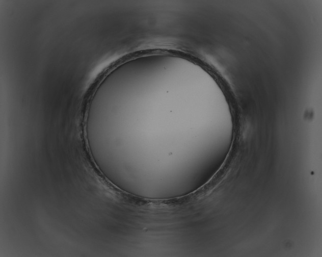 X0000091371312200708311517