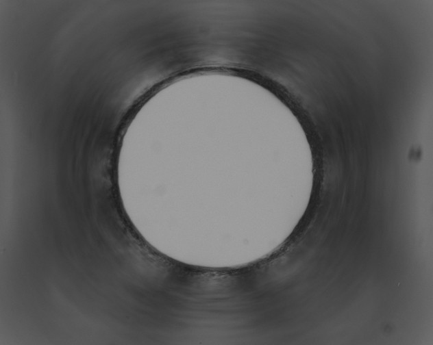 X0000091371314200708311517