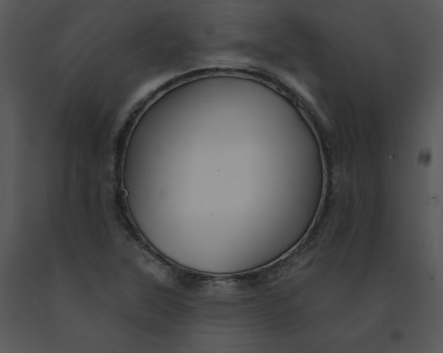 X0000091371315200708311517