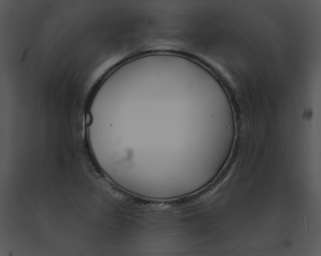 X0000091371317200708311517