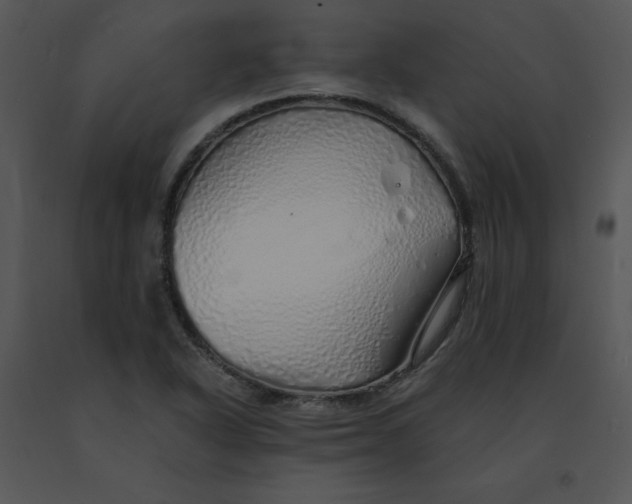 X0000091371318200708311517