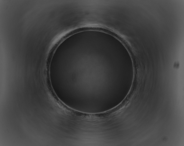 X0000091371319200708311517