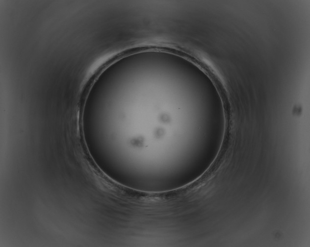 X0000091371320200708311517