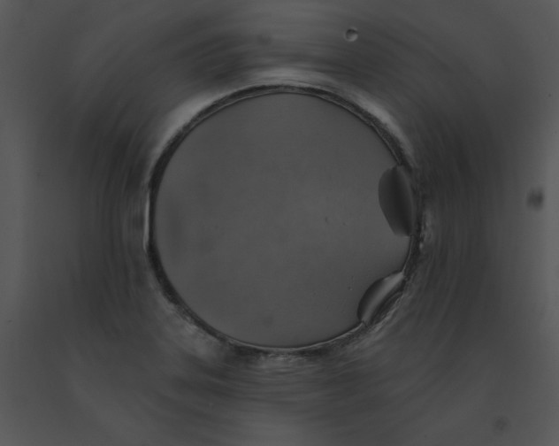 X0000091371323200708311517