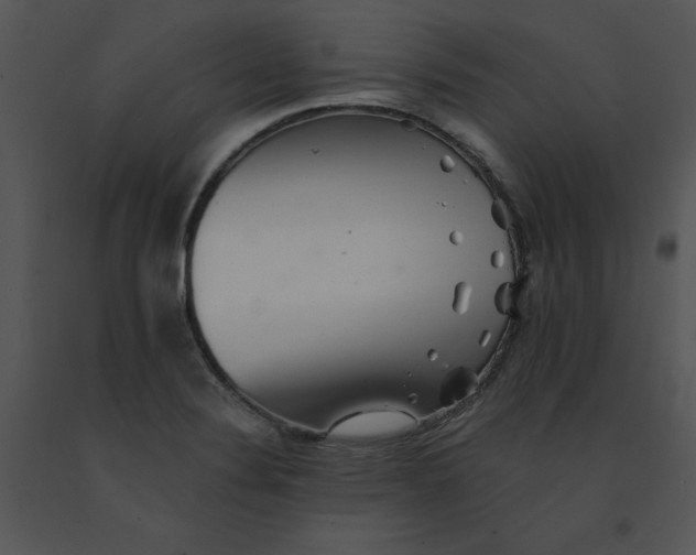 X0000091371324200708311517