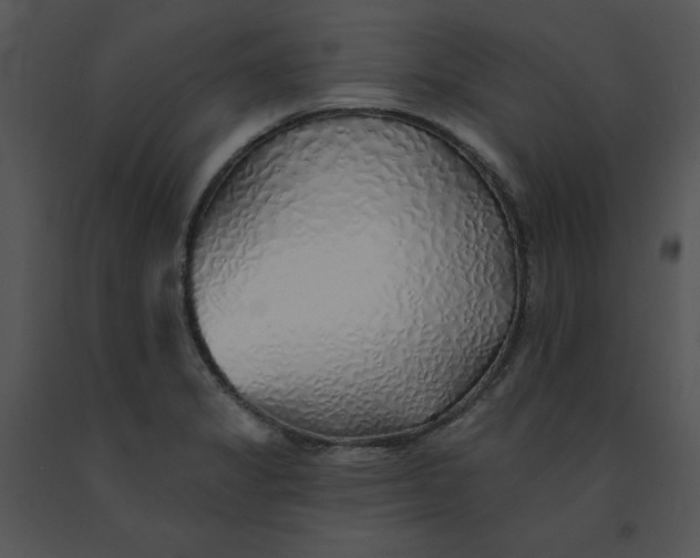 X0000091371325200708311517