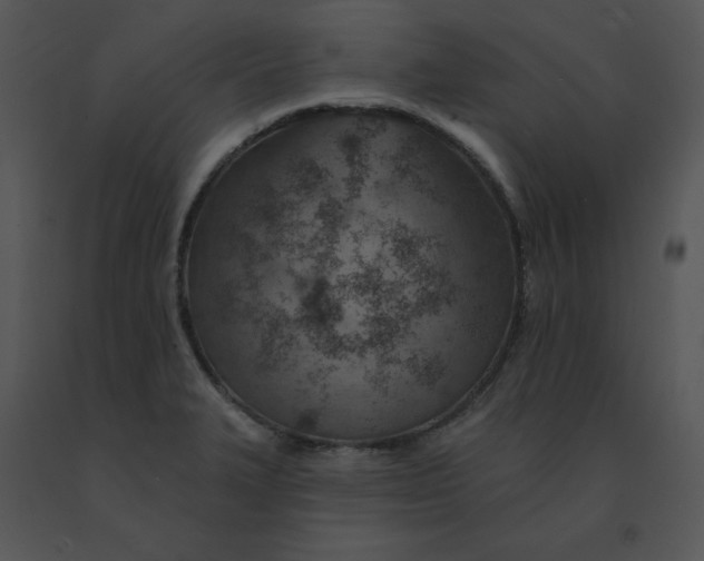 X0000091371327200708311517