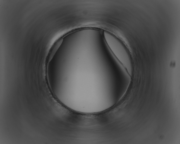 X0000091371328200708311517