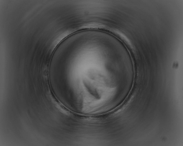 X0000091371329200708311517