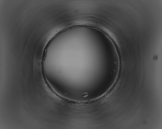 X0000091371330200708311517