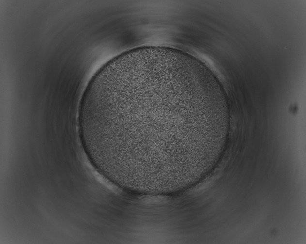 X0000091371331200708311517