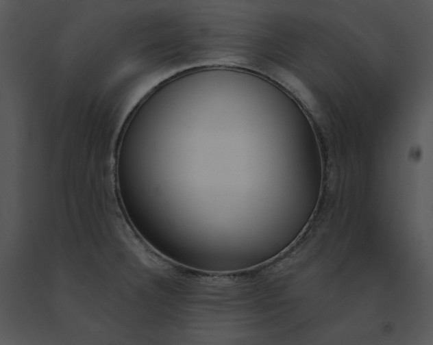 X0000091371332200708311517