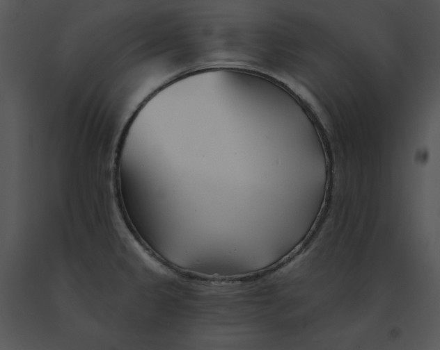 X0000091371333200708311517