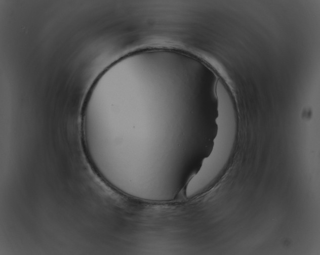 X0000091371335200708311517