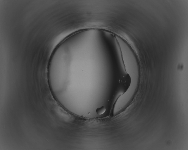 X0000091371336200708311517