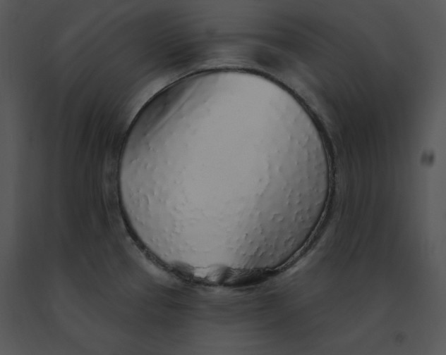 X0000091371337200708311517