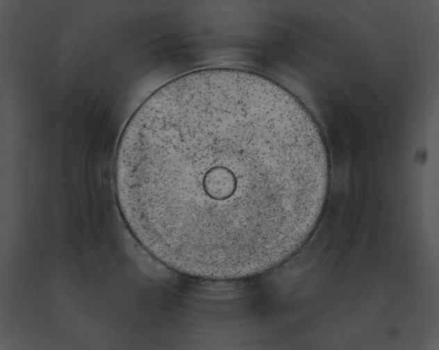 X0000091371338200708311517