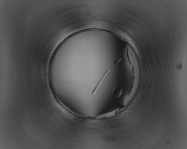 X0000091371339200708311517