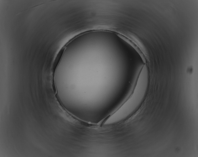 X0000091371340200708311517